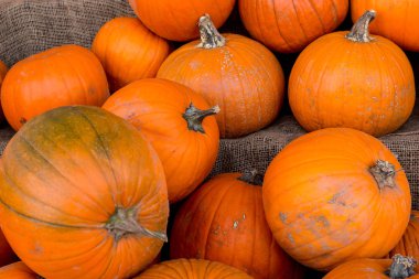 Kabak hasat pirinç saman arka plan. Haloween parti.