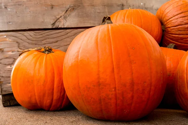 Kabak hasat pirinç saman arka plan. Haloween parti.