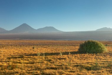 Atacama Çölü, Şili, And Dağları, Güney Amerika. Güzel manzara ve manzara.