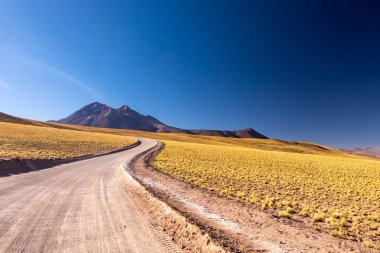 Atacama Çölü, Şili, And Dağları, Güney Amerika. Güzel manzara ve manzara.