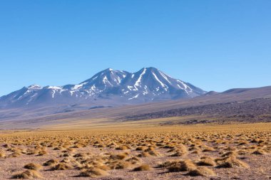 Atacama Çölü, Şili, And Dağları, Güney Amerika. Güzel manzara ve manzara.
