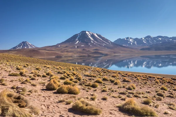 Пустыня Атакама Чили Анды Южная Америка Красивый Вид Пейзаж — стоковое фото