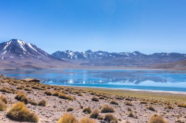 Lagunas Altiplanicas, Miscanti y Miniques, Atacama Çölü 'nün muhteşem manzarası. Şili, Güney Amerika.