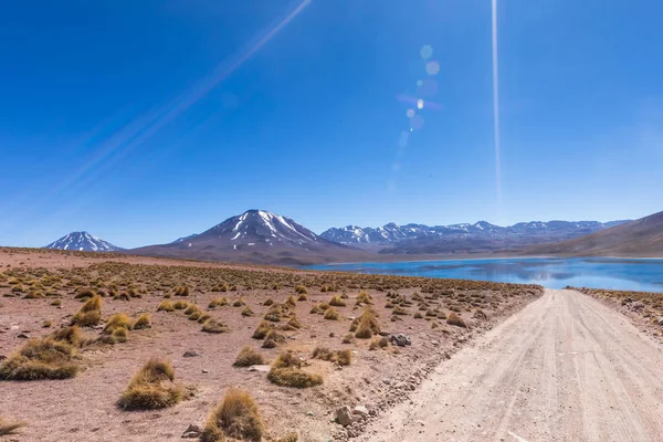 Lagunas Altiplanicas Miscanti Miniques Atemberaubende Aussicht Auf Die Atacama Wüste — Stockfoto