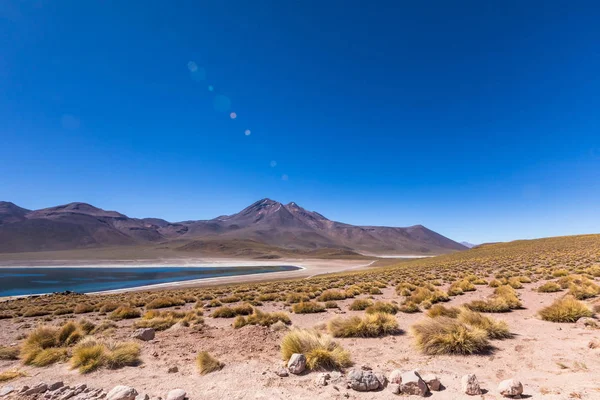 Lagunas Altiplanicas Miscanti Miniques Wspaniały Widok Pustynię Atacama Chile Ameryka — Zdjęcie stockowe