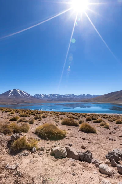 Lagunas Altiplanicas Miscanti Miniques Vista Increíble Desierto Atacama Chile América — Foto de Stock