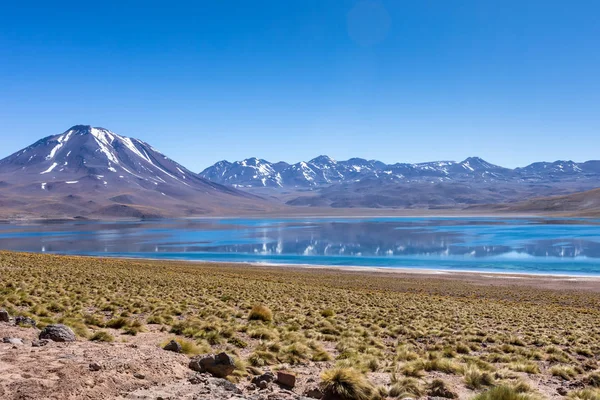 Lagunas Altiplanicas Miscanti Miniques Vue Imprenable Sur Désert Atacama Chili — Photo