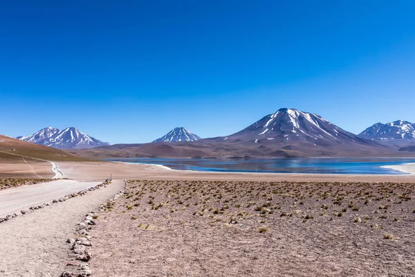 Lagunas Altiplanicas Miscanti Miniques Дивовижний Вид Пустелю Атакама Чилі Південна — стокове фото