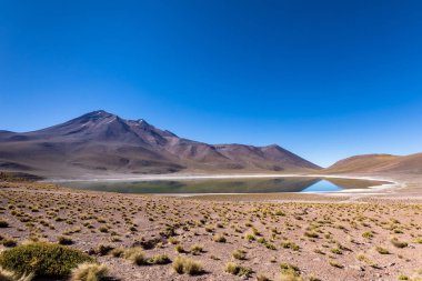 Lagunas Altiplanicas, Miscanti y Miniques, amazing view at Atacama Desert. Chile, South America. clipart