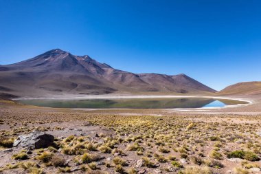 Lagunas Altiplanicas, Miscanti y Miniques, Atacama Çölü 'nün muhteşem manzarası. Şili, Güney Amerika.