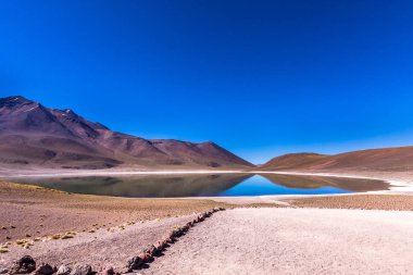 Lagunas Altiplanicas, Miscanti y Miniques, Atacama Çölü 'nün muhteşem manzarası. Şili, Güney Amerika.