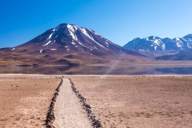Lagunas Altiplanicas, Miscanti y Miniques, Atacama Çölü 'nün muhteşem manzarası. Şili, Güney Amerika.