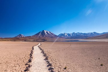 Lagunas Altiplanicas, Miscanti y Miniques, Atacama Çölü 'nün muhteşem manzarası. Şili, Güney Amerika.
