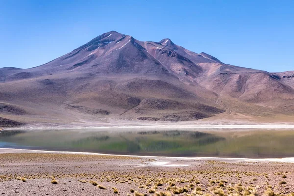 Lagunas Altiplanicas, Miscanti y Miniques, Atacama Çölü 'nün muhteşem manzarası. Şili, Güney Amerika.