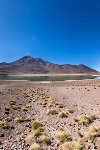 Lagunas Altiplanicas, Miscanti y Miniques, Atacama Çölü 'nün muhteşem manzarası. Şili, Güney Amerika.