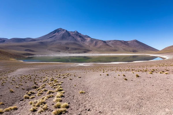 Lagunas Altiplanicas, Miscanti y Miniques, Atacama Çölü 'nün muhteşem manzarası. Şili, Güney Amerika.