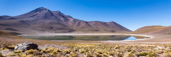 Lagunas Altiplanicas Miscanti Miniques Vue Imprenable Sur Désert Atacama Chili — Photo