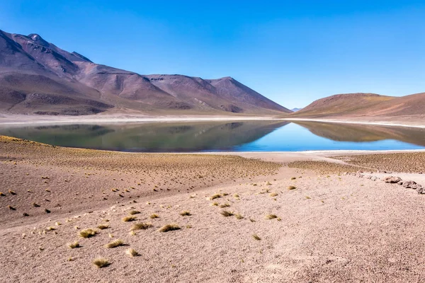 Lagunas Altiplanicas Miscanti Miniques Atacama Çölü Nün Muhteşem Manzarası Şili — Stok fotoğraf