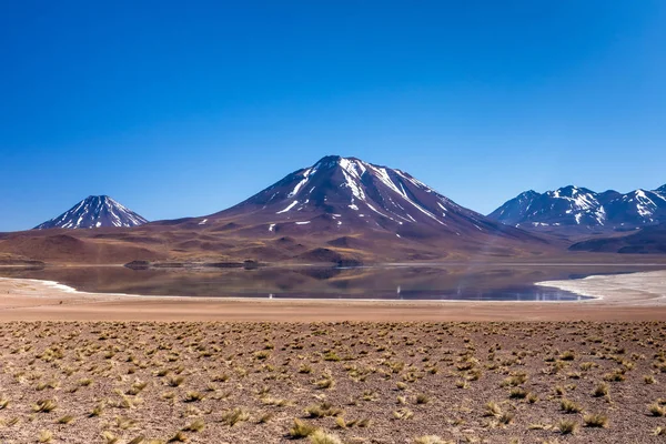 Lagunas Altiplanicas Miscanti Miniques Fantastisk Utsikt Över Atacamaöknen Chile Sydamerika — Stockfoto