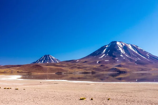 Lagune Altiplanicas Miscanti Miniques Splendida Vista Sul Deserto Atacama Cile — Foto Stock