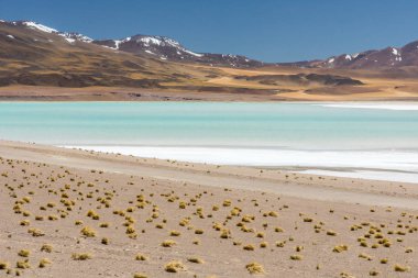 Atacama Çölü, Şili. Salar Aguas Calientes. Tuyacto Gölü. Güney Amerika.