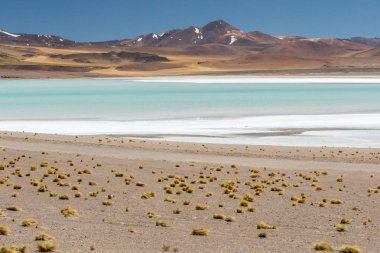Atacama Çölü, Şili. Salar Aguas Calientes. Tuyacto Gölü. Güney Amerika.