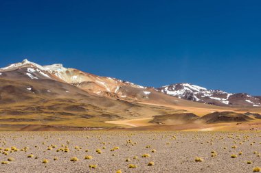 Atacama Çölü, Şili. Salar Aguas Calientes. Tuyacto Gölü. Güney Amerika.