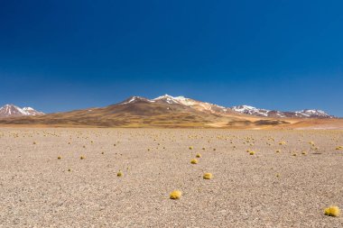 Atacama Çölü, Şili. Salar Aguas Calientes. Tuyacto Gölü. Güney Amerika.