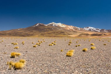 Atacama Çölü, Şili. Salar Aguas Calientes. Tuyacto Gölü. Güney Amerika.