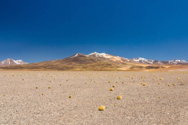 Atacama Çölü, Şili. Salar Aguas Calientes. Tuyacto Gölü. Güney Amerika.