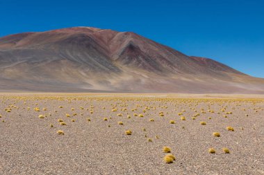 Atacama Çölü, Şili. Salar Aguas Calientes. Tuyacto Gölü. Güney Amerika.