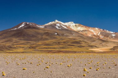 Atacama Çölü, Şili. Salar Aguas Calientes. Tuyacto Gölü. Güney Amerika.