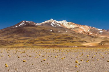 Atacama Çölü, Şili. Salar Aguas Calientes. Tuyacto Gölü. Güney Amerika.
