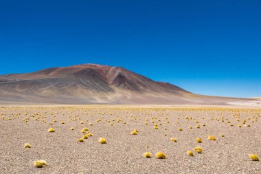 Atacama Çölü, Şili. Salar Aguas Calientes. Tuyacto Gölü. Güney Amerika.