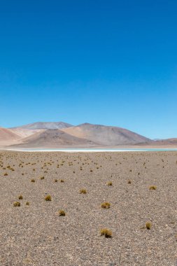 Atacama Çölü, Şili. Salar Aguas Calientes. Tuyacto Gölü. Güney Amerika.