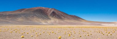 Atacama Çölü, Şili. Salar Aguas Calientes. Tuyacto Gölü. Güney Amerika.