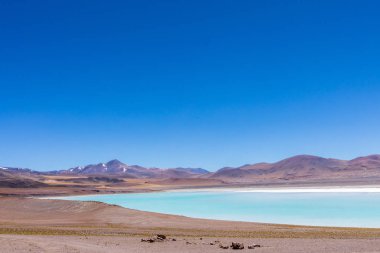Atacama Çölü, Şili. Salar Aguas Calientes. Tuyacto Gölü. Güney Amerika.