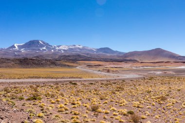 Atacama Çölü, Şili. Salar Aguas Calientes. Tuyacto Gölü. Güney Amerika.