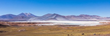 Atacama Çölü, Şili. Salar Aguas Calientes. Tuyacto Gölü. Güney Amerika.