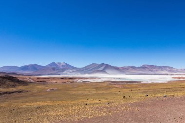 Atacama Çölü, Şili. Salar Aguas Calientes. Tuyacto Gölü. Güney Amerika.