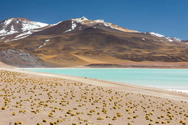 Desierto Atacama Chile Salar Aguas Calientes Lago Tuyacto América Del — Foto de Stock