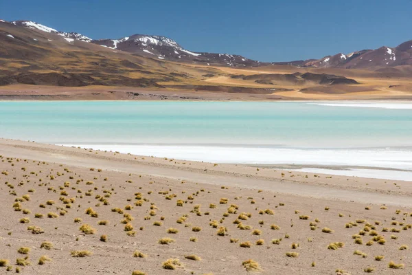 Desierto Atacama Chile Salar Aguas Calientes Lago Tuyacto América Del — Foto de Stock