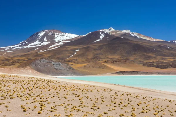 Desierto Atacama Chile Salar Aguas Calientes Lago Tuyacto América Del — Foto de Stock