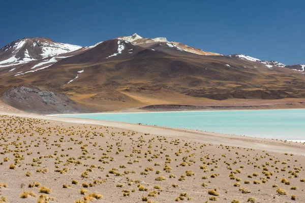 Desierto Atacama Chile Salar Aguas Calientes Lago Tuyacto América Del — Foto de Stock