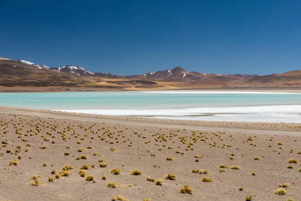 Atacama Wüste Chile Salar Aguas Calientes Tuyacto See Südamerika — Stockfoto