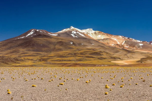 チリのアタカマ砂漠 アグアス カリエンテス Tuyacto湖 — ストック写真
