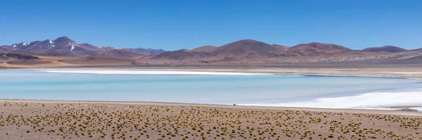 Atacama Woestijn Chili Salar Aguas Calientes Het Meer Van Tuyacto — Stockfoto