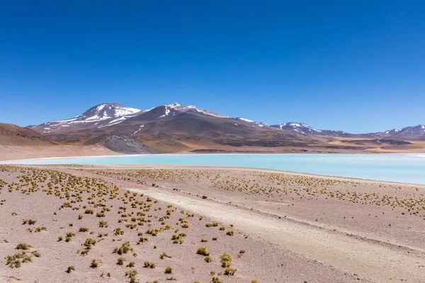 Έρημος Ατακάμα Χιλή Σαλάρ Αγκουάς Καλιέντες Λίμνη Τουγιάστο Νότια Αμερική — Φωτογραφία Αρχείου
