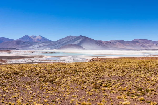 Pustynia Atacama Chile Salar Aguas Calientes Jezioro Tuyacto Ameryka Południowa — Zdjęcie stockowe