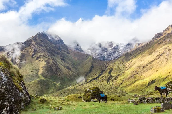 Salkantay Trekking Peru South America — Stock Photo, Image